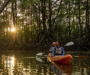 Kayaking in Golfo Dulce