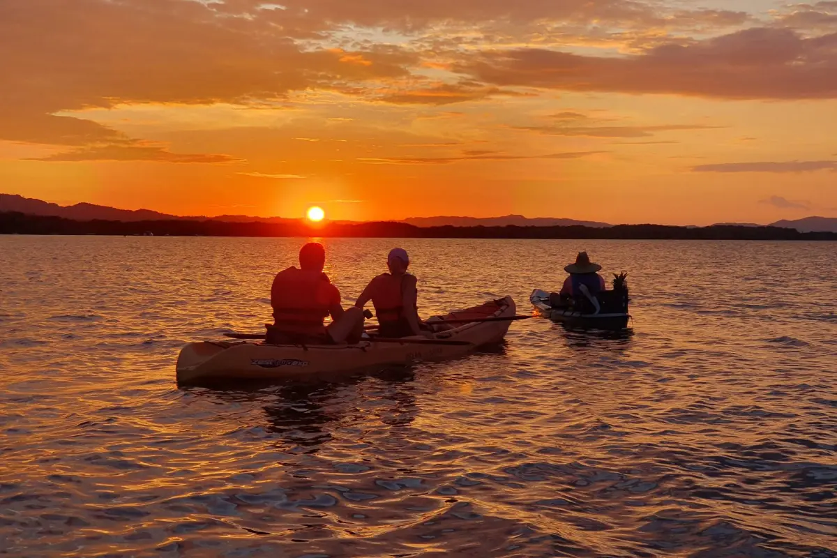 Bioluminescence kayaking experience in Golfo Dulce - Image 3