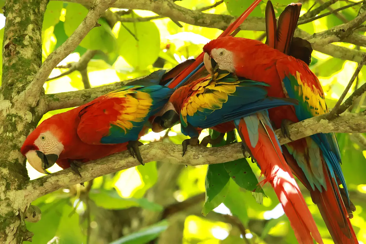 Birdwatching experience - Image 6