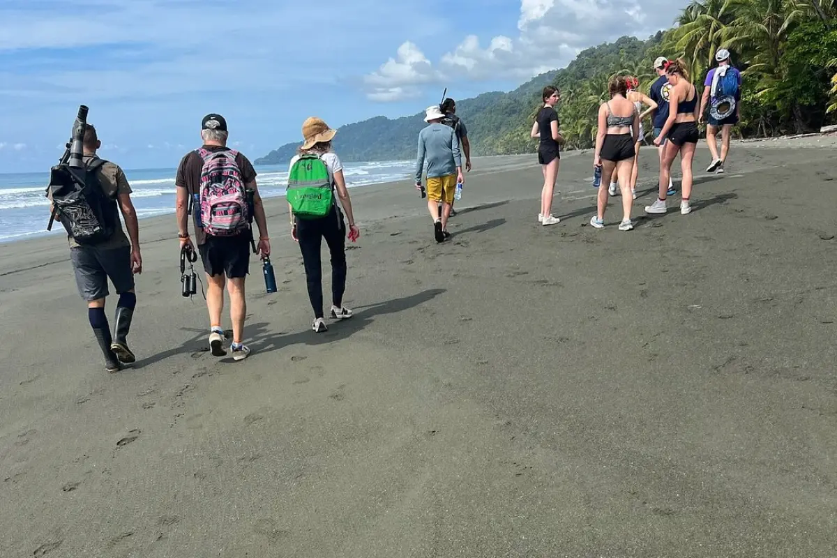 Corcovado experience: Day trip to La Leona - Image 4