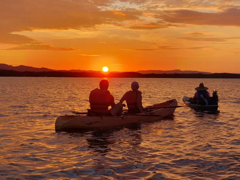 Kayakers exploring mangroves during sunset in Golfo Dulce