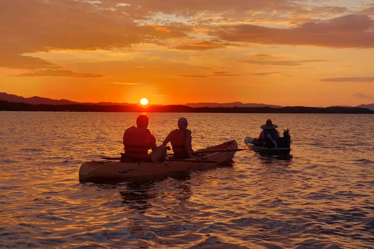 Mangroves & sunset kayaking in Golfo Dulce - Image 1